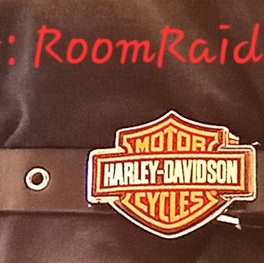 Harley Davidson Women's Belt Studded with belt buckle black orange